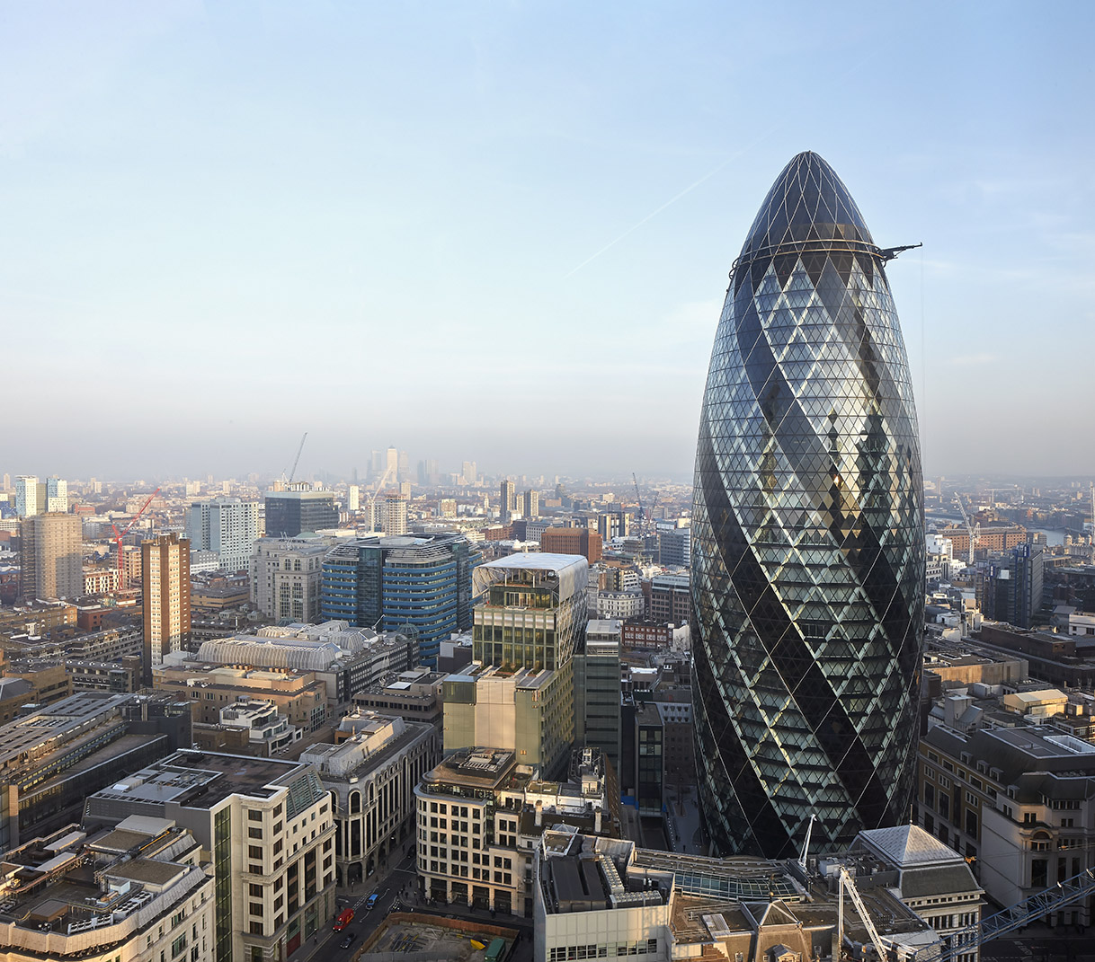 The gherkin