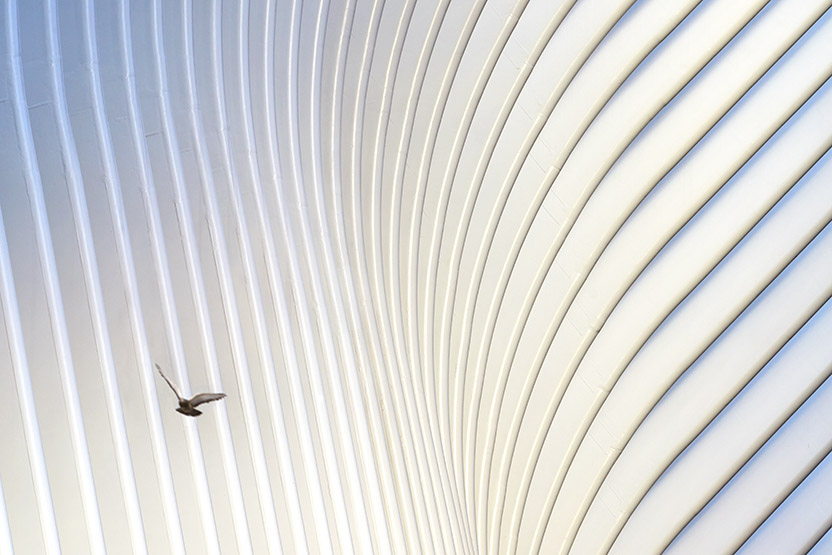 Oculus World Trade Centre Transportation Hub