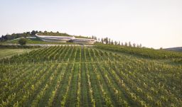 Sauska Winery