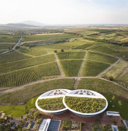 Sauska Winery