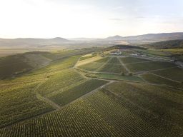 Sauska Winery