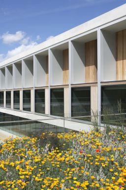 The Sainsbury Laboratory