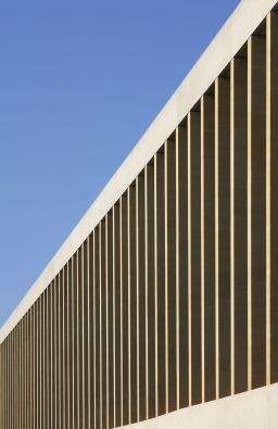 The Sainsbury Laboratory